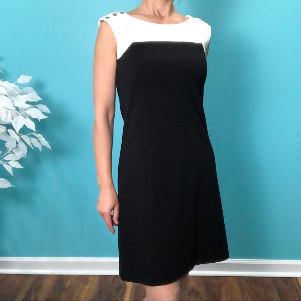 White House and Black Market Black & White Color block Sleeveless A Line Dress - Picture 1 of 9